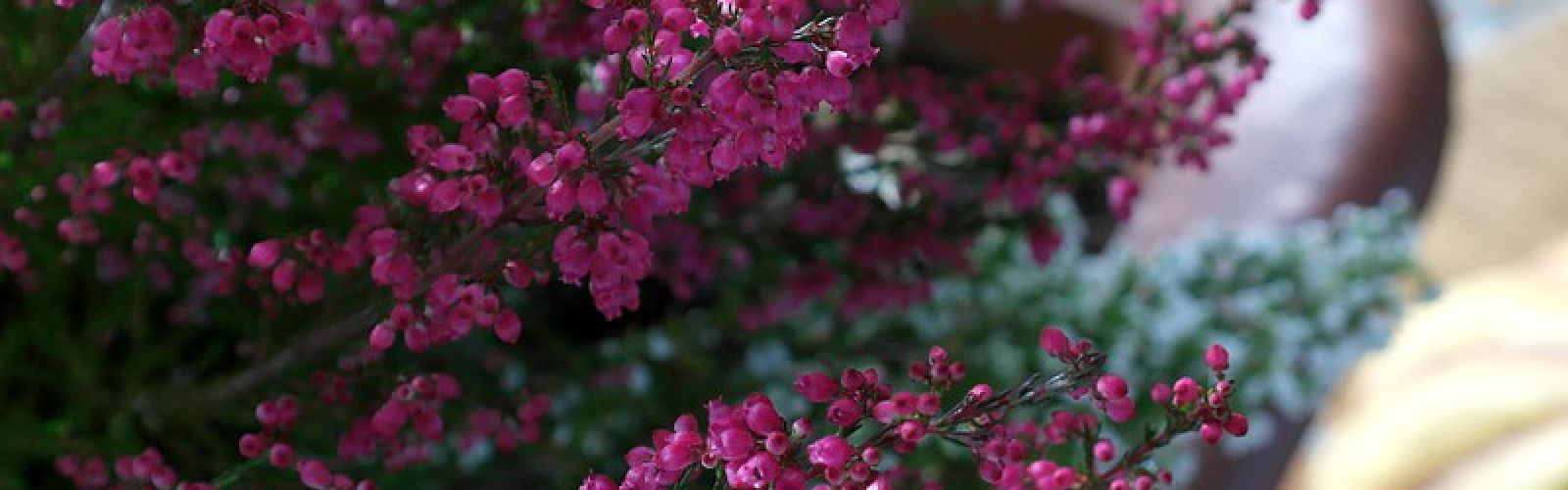 Für den Winter gerüstet