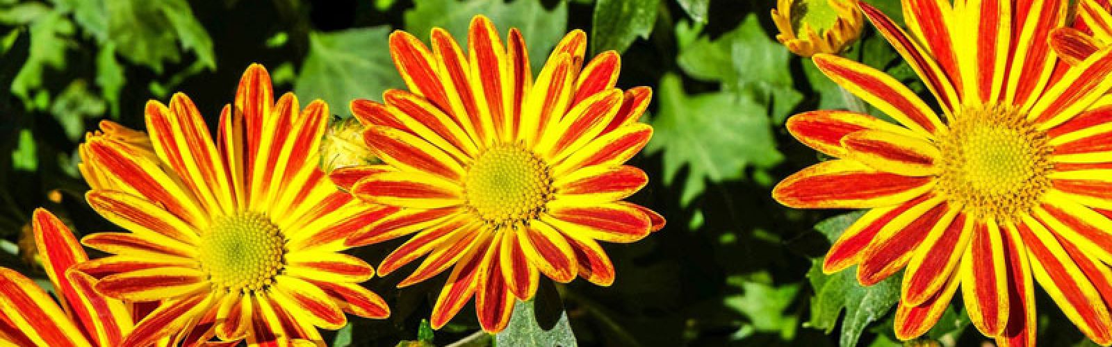 Unsere Sommer-Angebote