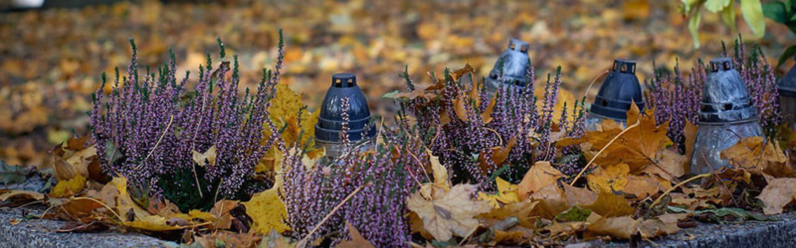 Tipps für die herbstliche Grabgestaltung:  Pflegeleicht und fröhlich