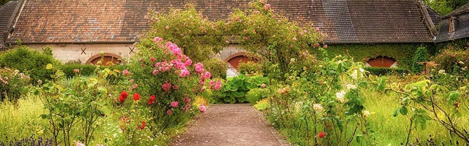 Mehr Abwechslung im Garten gefällig?